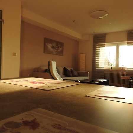 Schoene Gemuetliche Ferienwohnung Mit Fernblick. Nalbach Kültér fotó